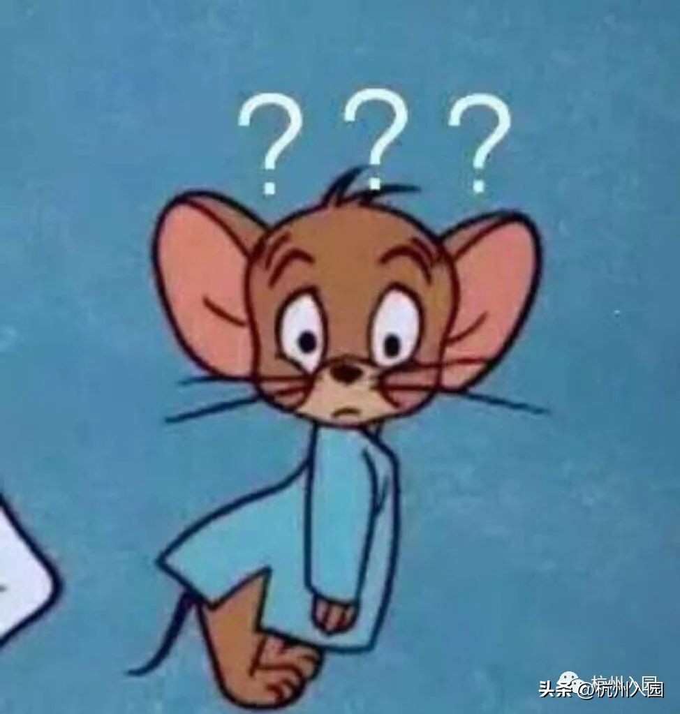 杭州提前放假幼儿园学费退吗 (杭州幼儿园退学费规定)