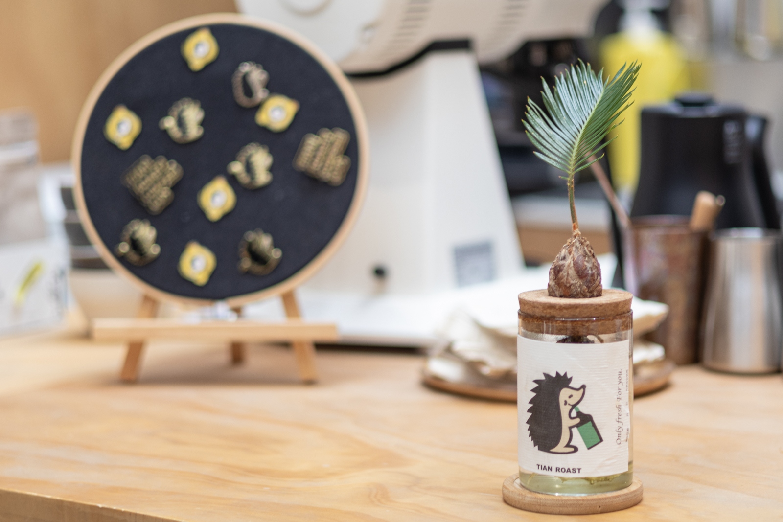 佳能eosr10实拍效果,佳能eosr10怎么样