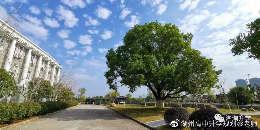 高三学生综合评价自我陈述怎么写,高三学生综合素质评价自我陈述