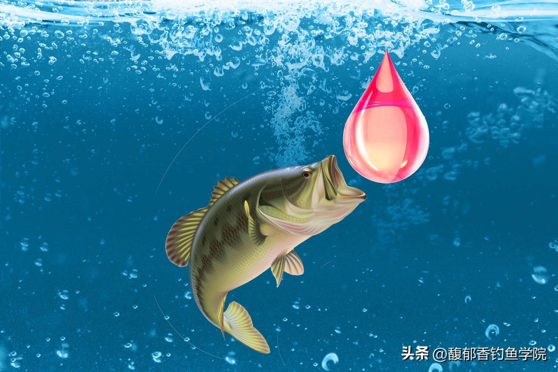 钓鱼小药的原理，锦上添花还是雪中送炭？钓鱼小药的秘密