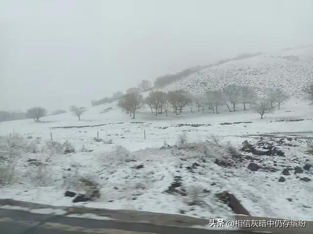 第四天，思念的人都是对自己最珍贵的人