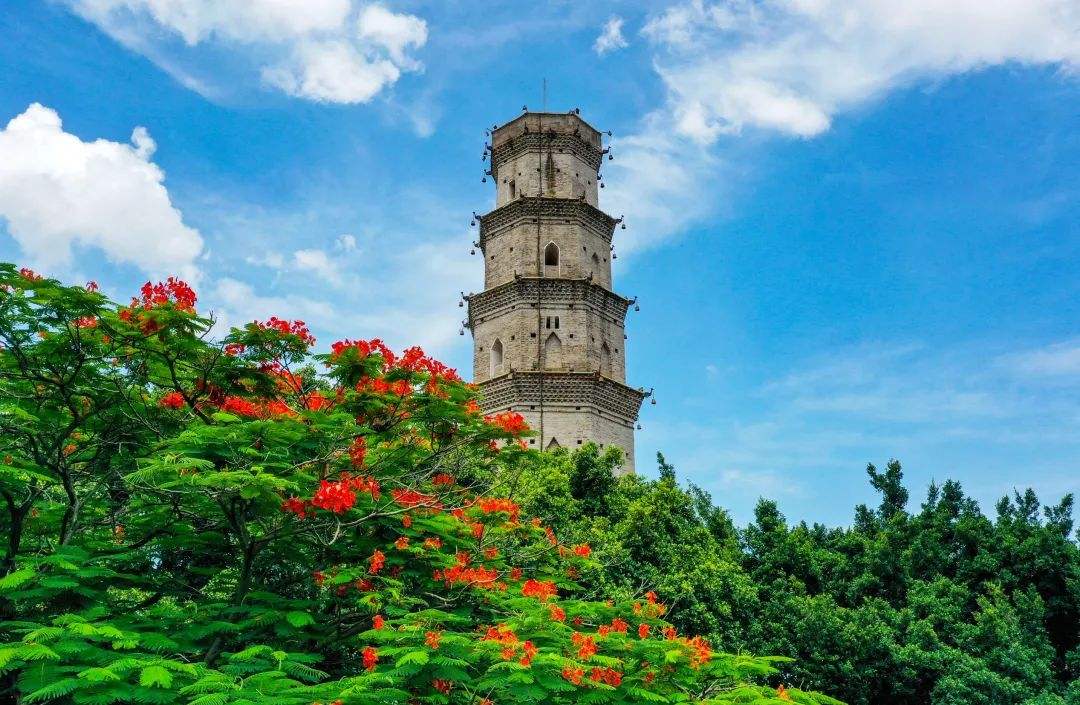 广东哪里气候最适合宜居,广东冬天最暖和的城市