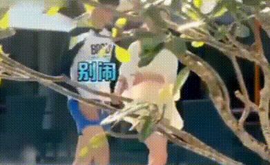 娱乐圈被欺骗的女星,娱乐圈中被骗得最惨的女明星