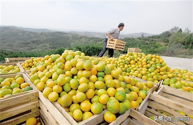 走绿色发展之路推动县域经济发展,走绿色发展之路开生态富民之花