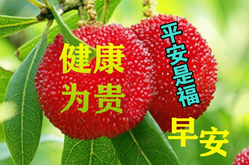 朋友关心问候语暖心感动的句子,问候祝福朋友开心快乐的温馨句子