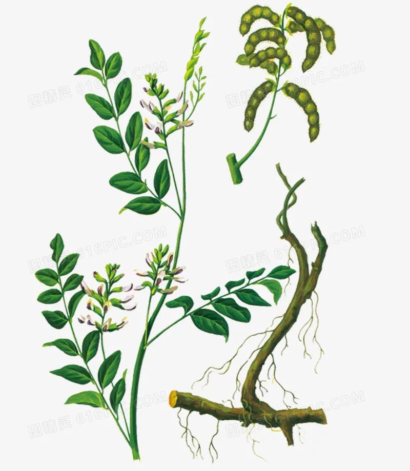 2022年国际护肤品牌成分排名,强效补水护肤品成分测评