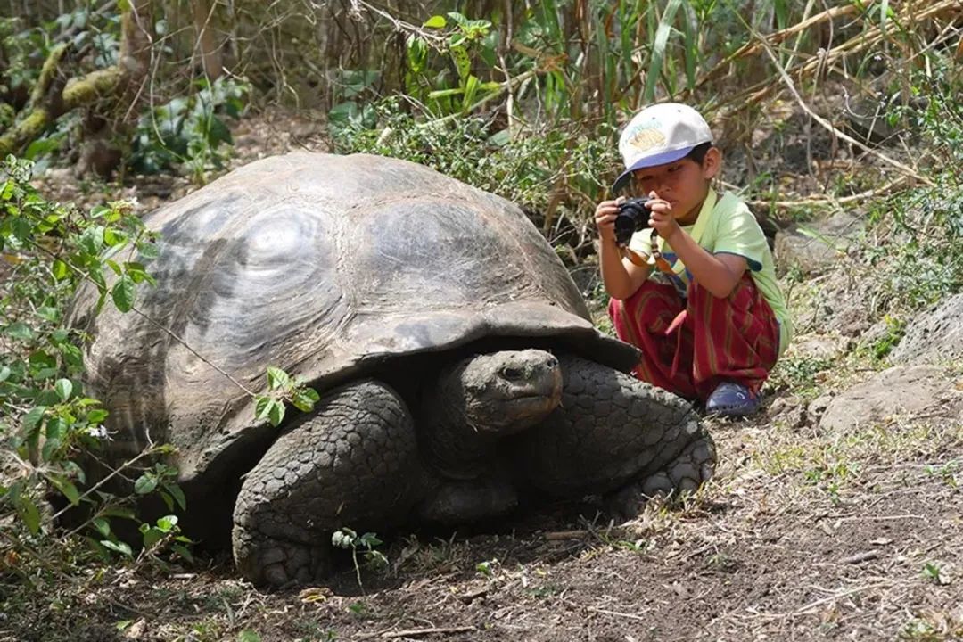 夫妻带5岁儿子环游世界,小夫妻带5岁孩子旅游边走边看