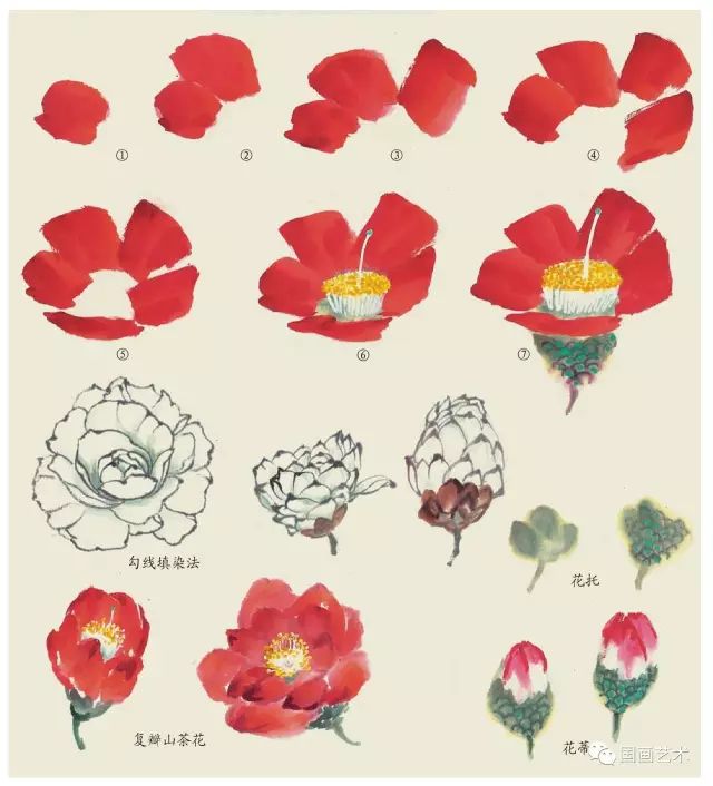 写意丁香花画法,写意鸡冠花的画法教程