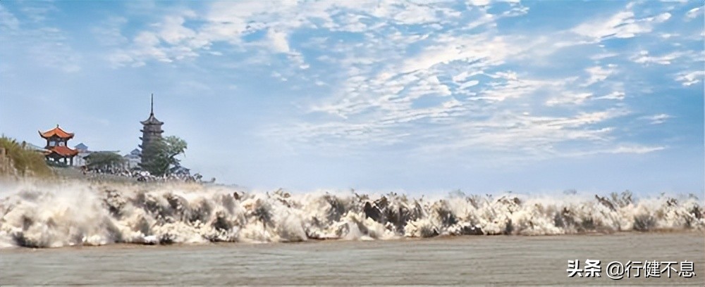 荷花十里桂三秋：十二首著名诗词，领略杭州的诗意之美