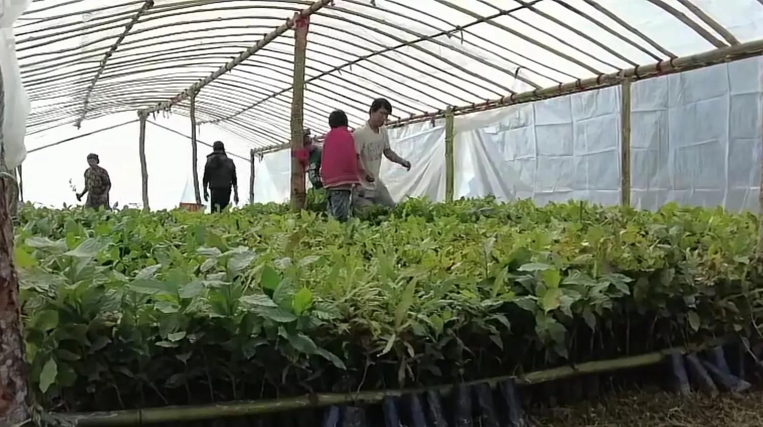 尼泊尔：铁打的别墅流水的网红你方唱罢我登场分分合合又一年