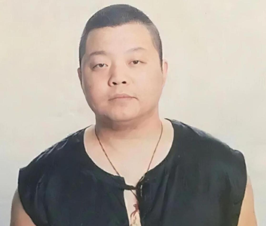 歌手臧天朔简历,民间歌手臧天朔去哪儿了