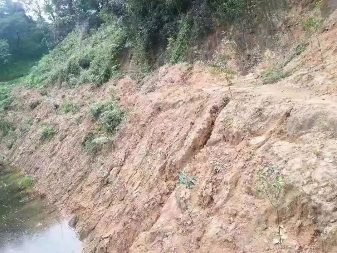 污染环境罪危险废物典型案例,环境污染罪严打2016年