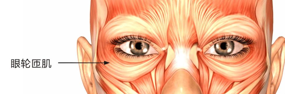怪不得眼皮一直跳原来是这么回事,为什么眼皮跳真的有事发生了