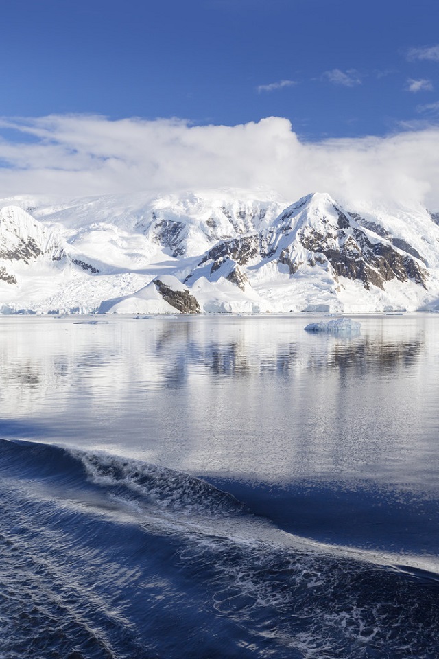 台湾的鸡为什么不下蛋了?真正原因令人寒心!