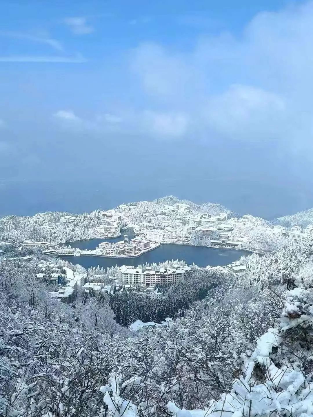到咸宁看国宝过大年,离家45年的国宝回湖北咸宁过年