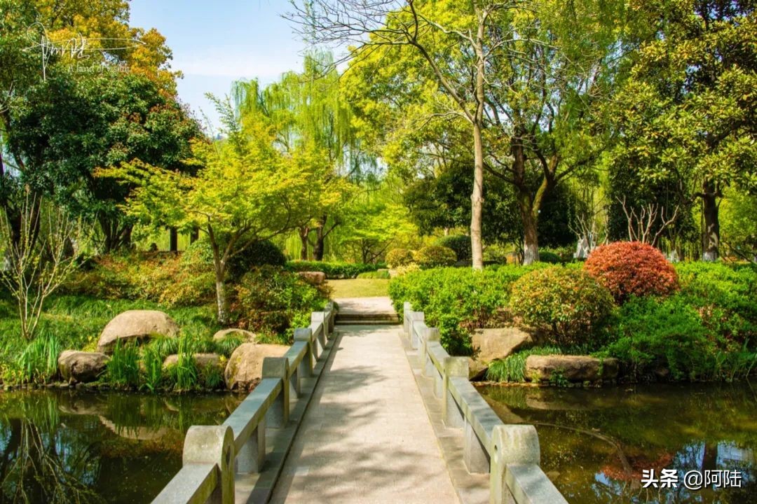 杭州城南有个鲜为人知的水景公园,杭州景点平湖秋月