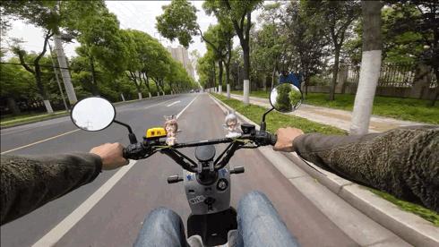 本田zoomere使用,本田zoomere值得购买吗