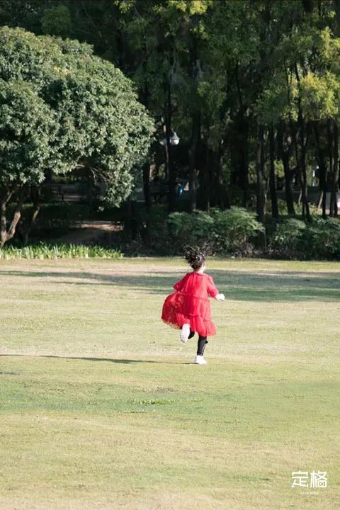 深圳免费露营的公园推荐,深圳22个露营公园