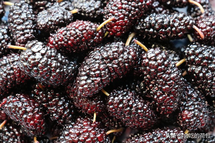 清明时节可以吃的野果,清明前后这种水果千万不要吃