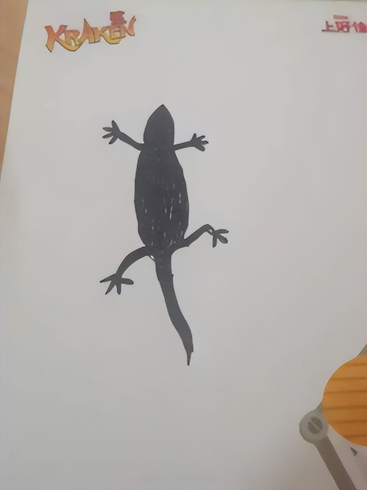 网友画“壁虎”想耍耍自家猫，可没想到…把全网的猫都给骗了