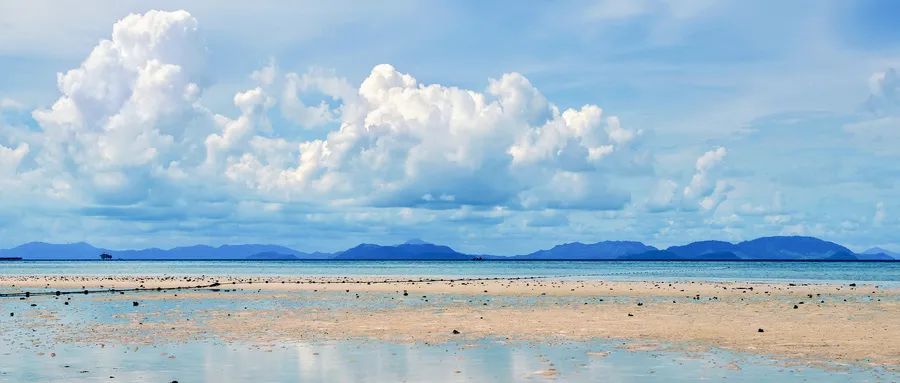 期货交易比赛冠军交易风格,交易模式和趋势