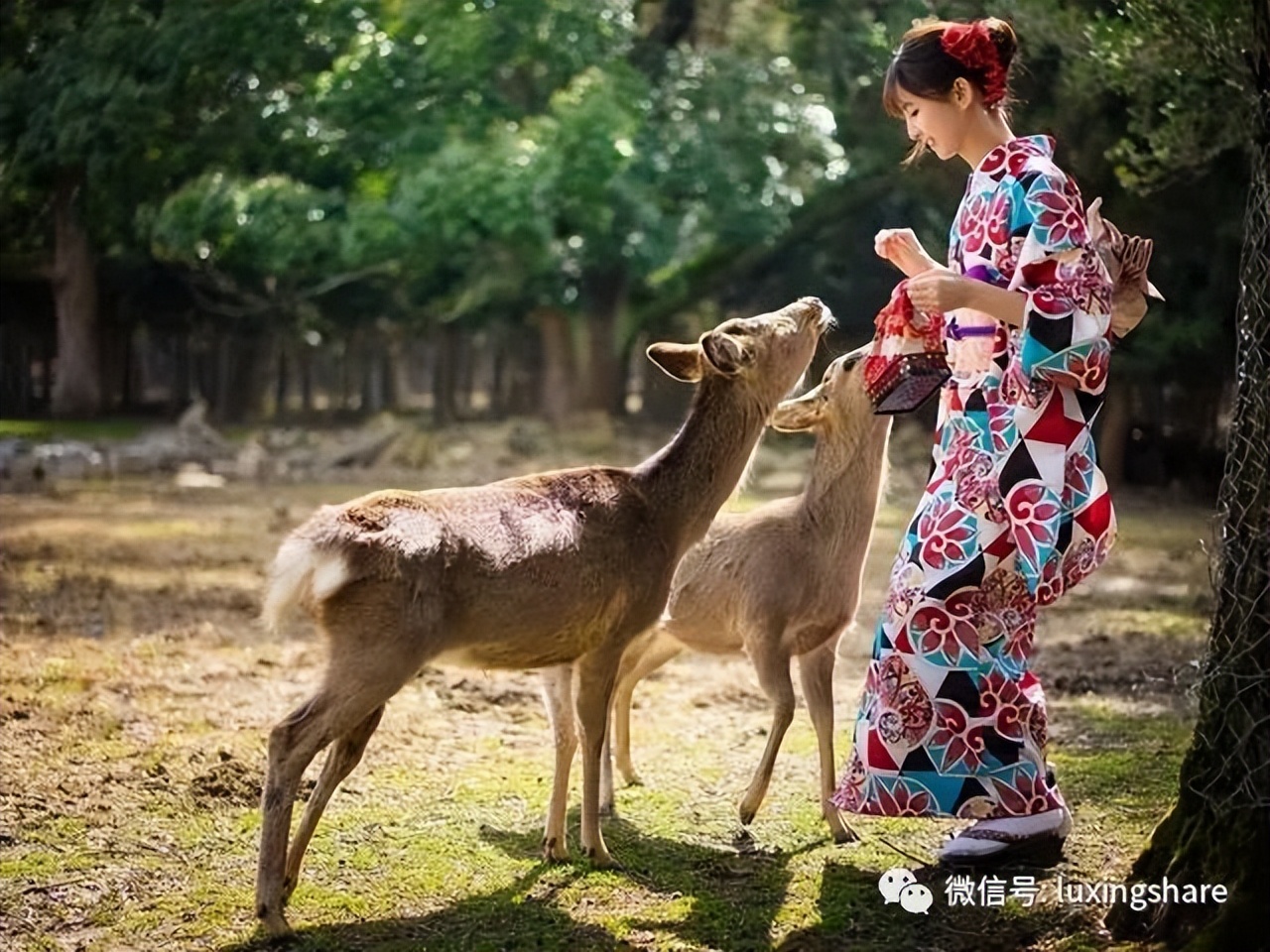 日本留学签证需要带哪些材料,日本留学签证办理哪个机构好