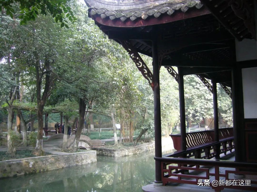 白兰华|那年我们过六一