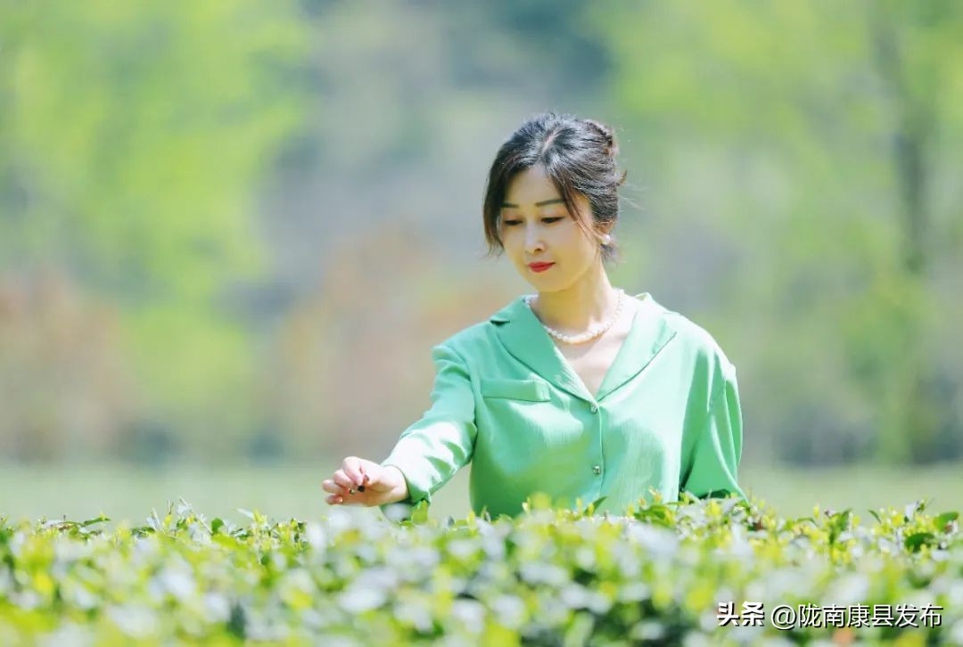 浜斾竴搴峰吇鏃呮父,浜斾竴搴峰吇搴﹀亣鏀荤暐