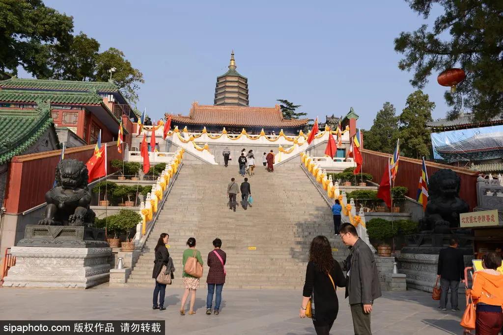 北京故宫的猫为什么叫御猫,故宫最萌的猫是什么猫