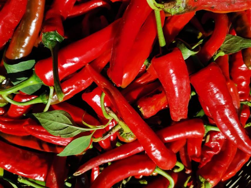 这4种食物再饿也不能空腹食用,早餐空腹香蕉牛奶可以同食吗