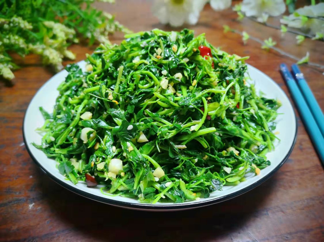 阳春三月必吃的野菜,阳春三月野菜成餐桌新宠