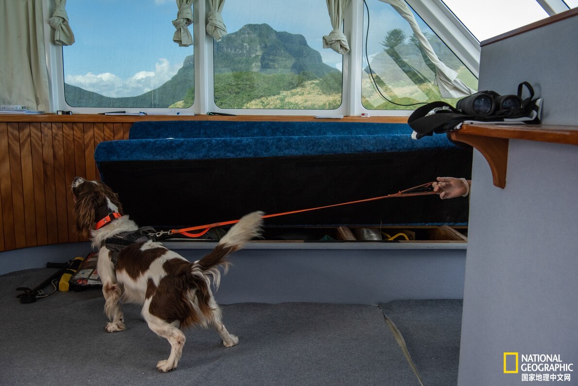 鐏紶澶ф垬榧犲矝,鐏紶澶ф垬鏆楀尯