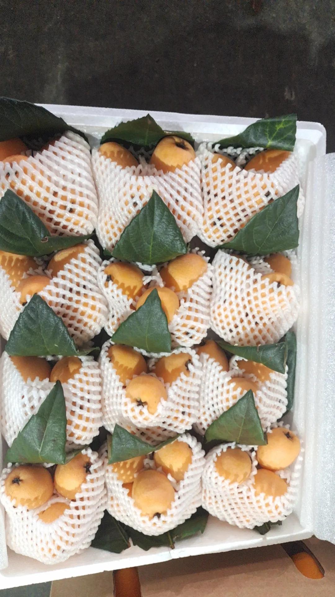 广东人爱吃的酸酸甜甜的水果,广东人爱吃的菜大全