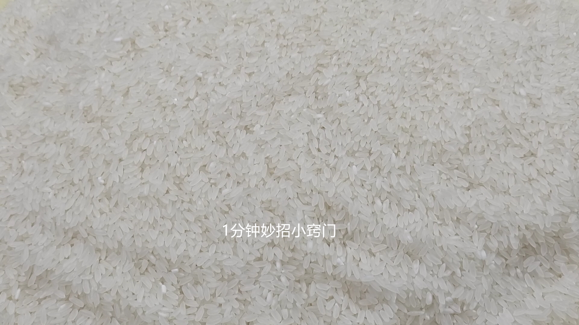 已经长虫的大米怎么赶走米虫,大米长虫不要晒教你一招