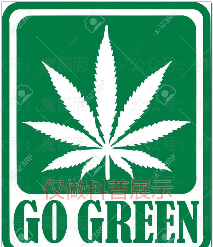 儿童刺绣亮片t恤,12个有毒童装品牌