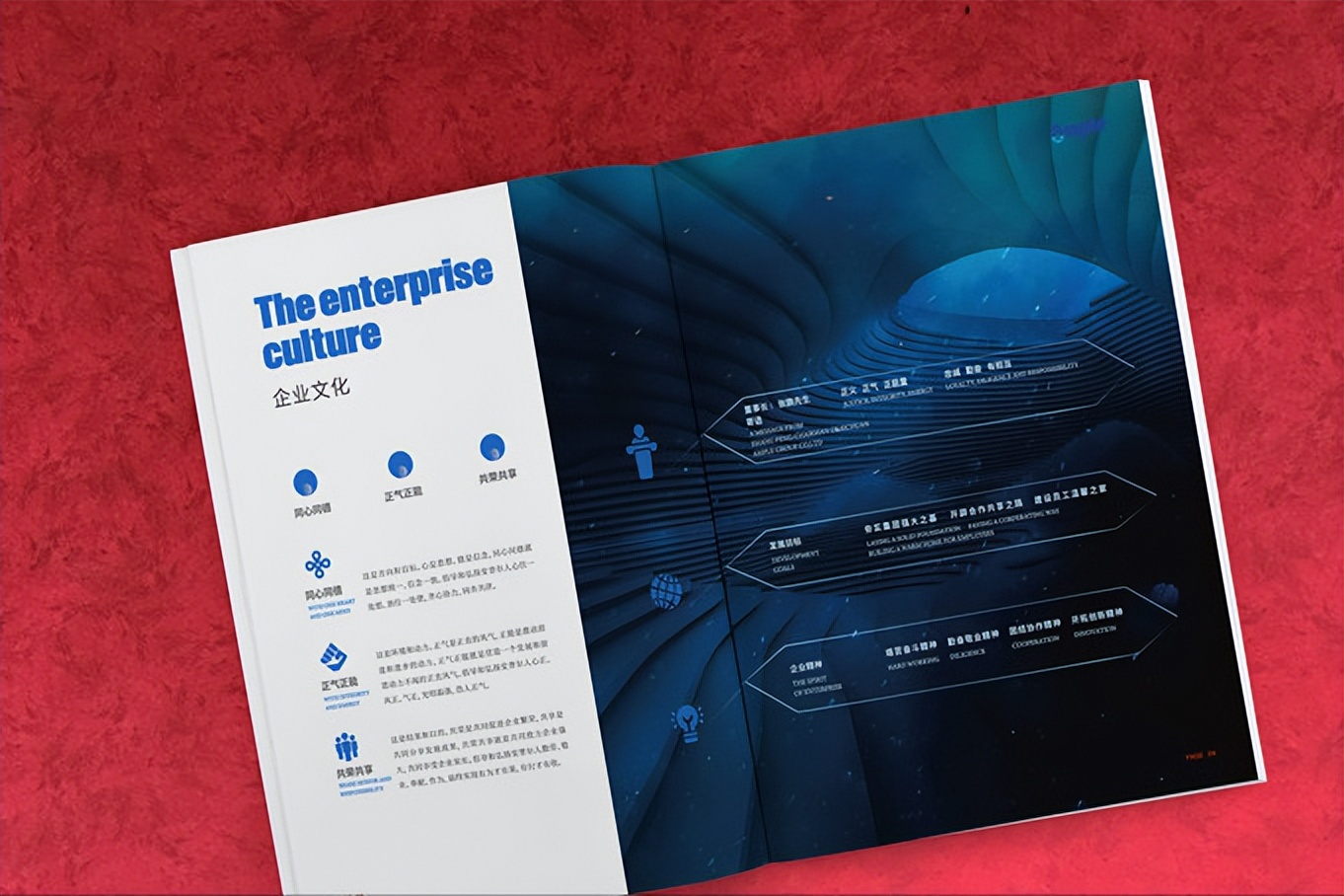 纯图片画册版式设计欣赏,招生画册版式设计