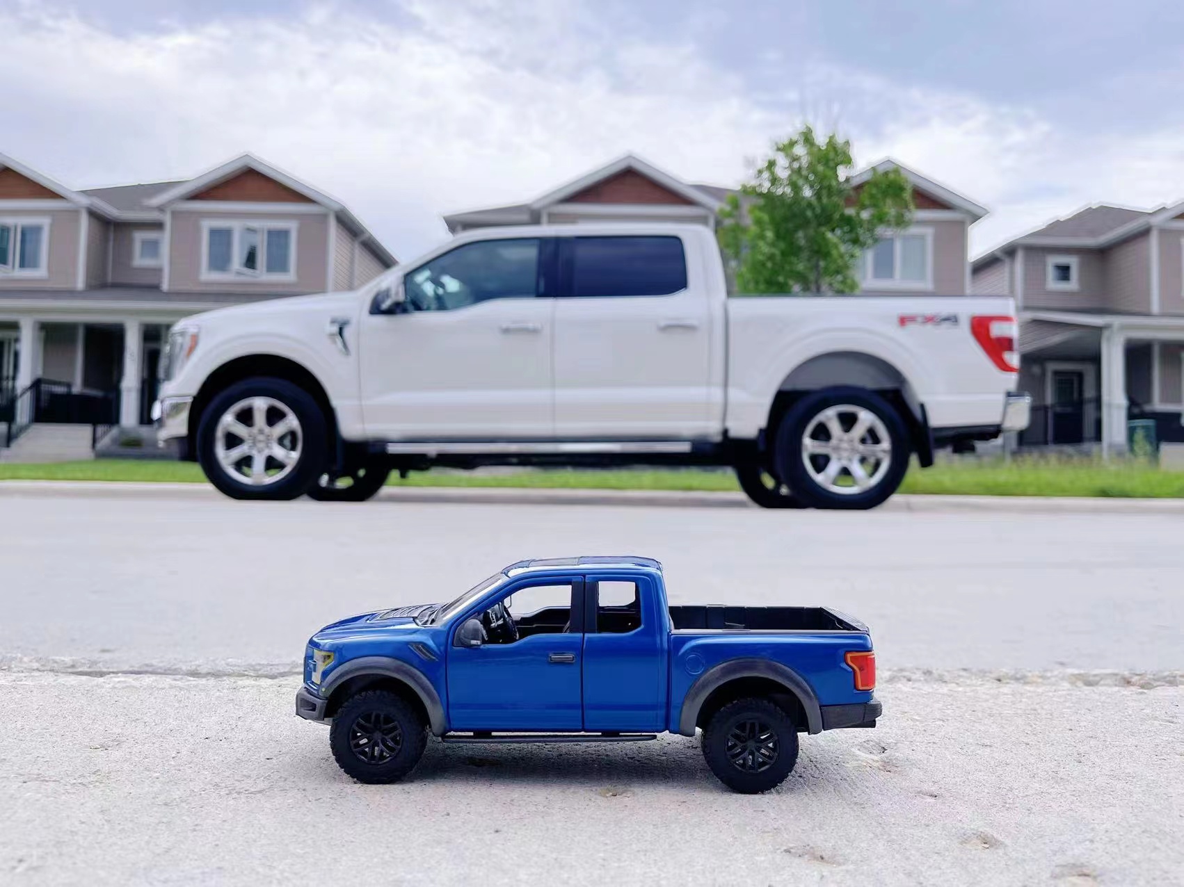 80后Cindy从美国到加拿大：放弃体制内工作，大龄毅然出国深造