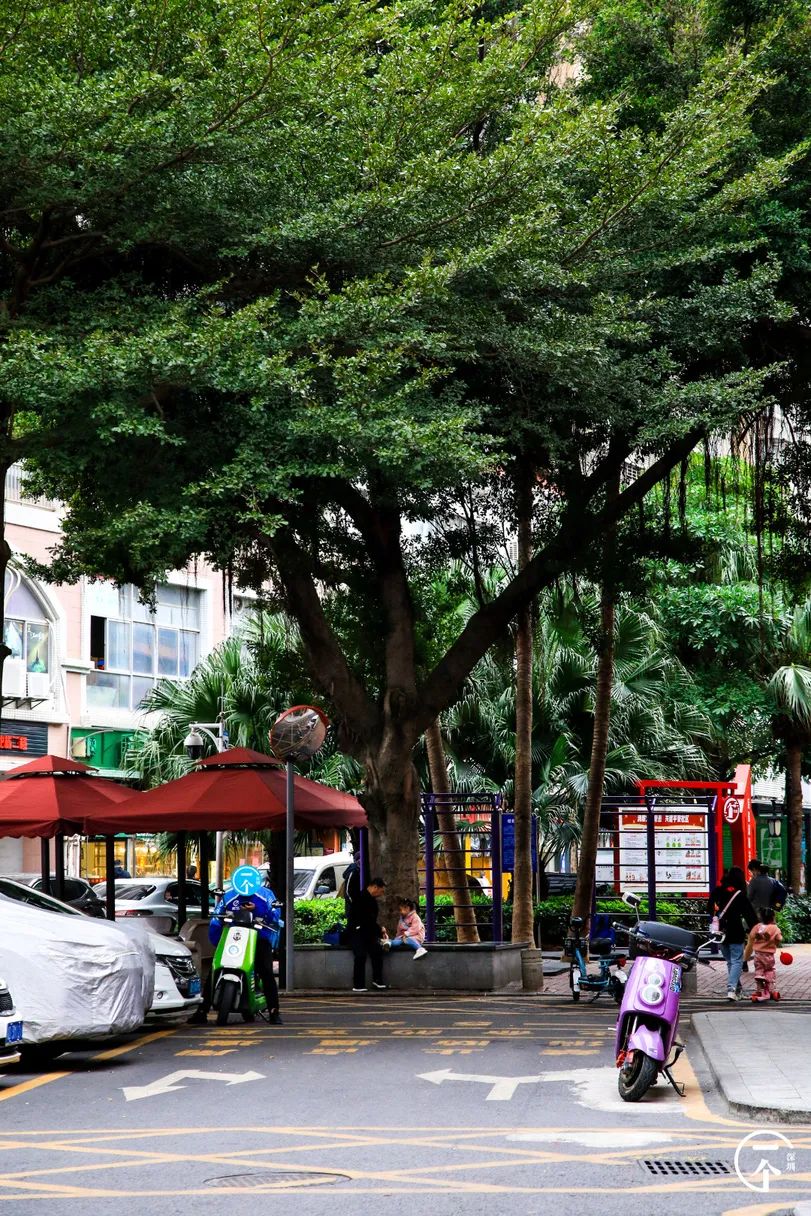深圳航空空姐空少,深圳航空空少乘务员