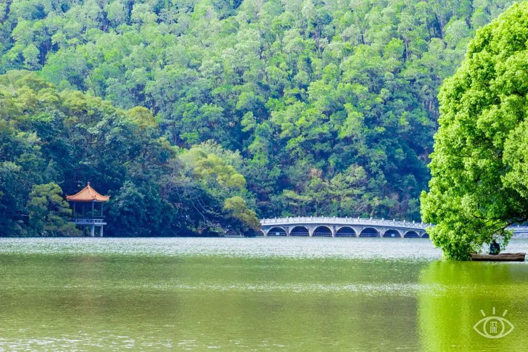 国内好看小众的湖泊,深圳好玩的湖泊有哪些