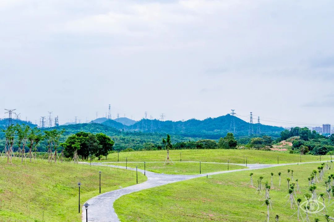 深圳周末带孩子免费游玩好去处,周末去哪玩推荐深圳