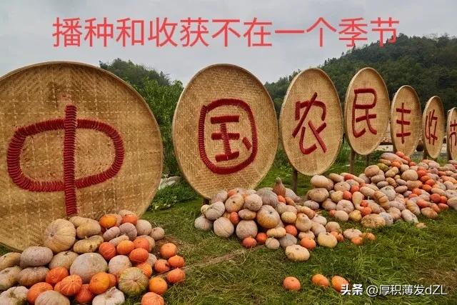 种什么样的种子开什么样的花！有什么样的投资认知就有什么的结果