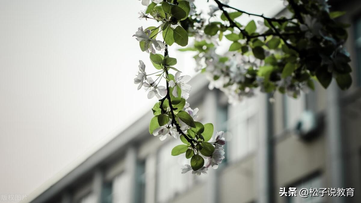 山东省被低估的四所大学,山东省内排名前五的大学你知道吗