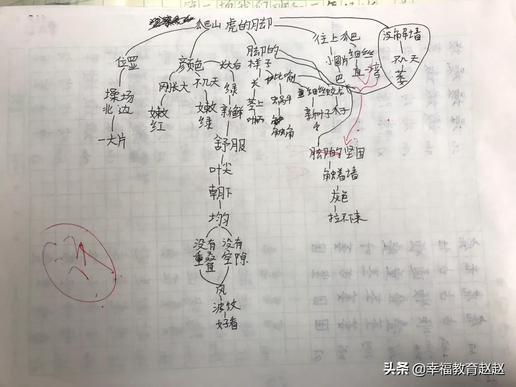 爬山虎的脚思维导图怎么画图片,爬山虎的脚思维导图绘画过程
