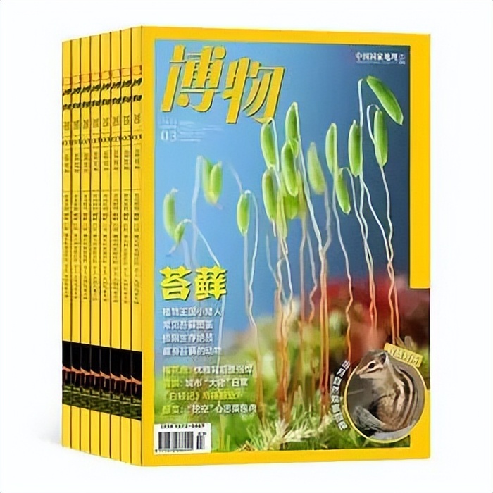 【盘点2022】400万用户选出来的热销杂志TOP30