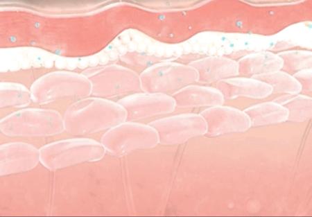 雅诗兰黛抗衰好还是兰蔻抗衰好,兰蔻和雅诗兰黛护肤品哪个抗衰好