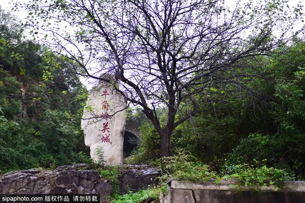 京郊十条醉美公路①|在这3条公路看风景如画不负好时光