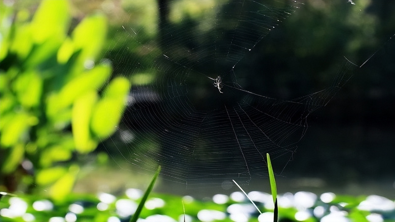 一年前的三星值得买吗,三星以前的老手机值钱吗