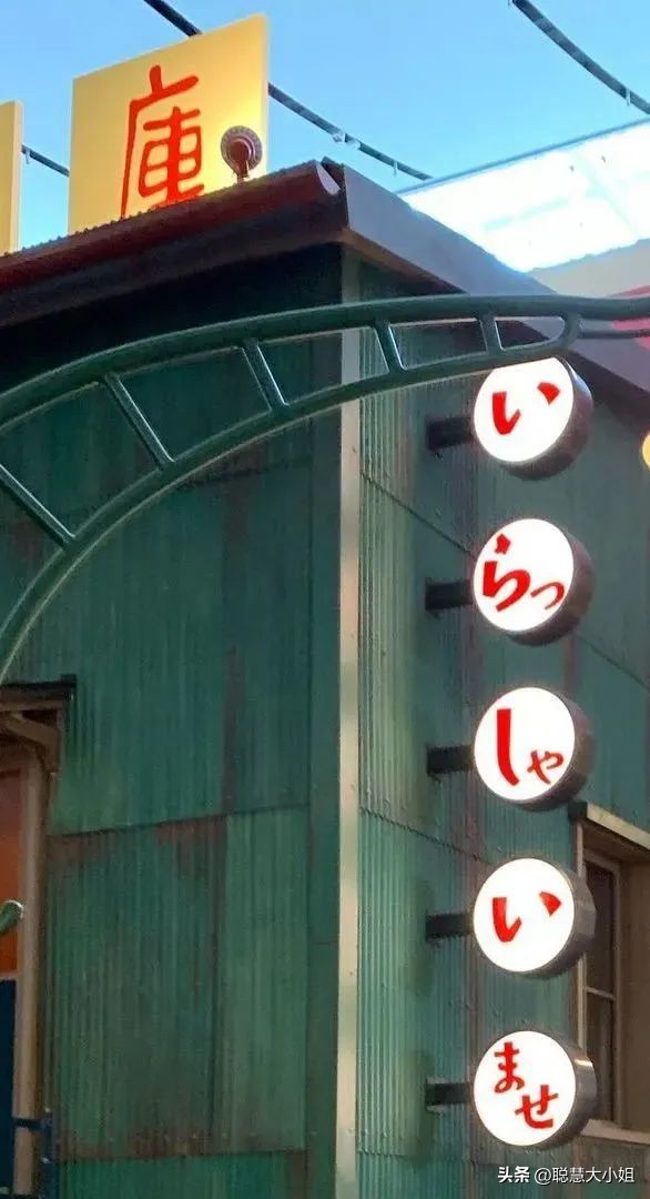 宫崎骏三鹰美术馆完整版,三鹰之森宫崎骏第二弹图鉴