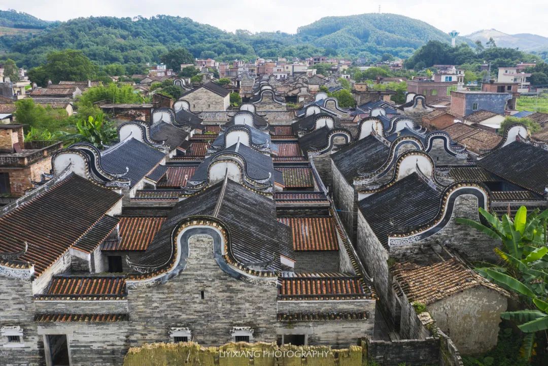 清远鸡什么地方最好,清远鸡冷知识