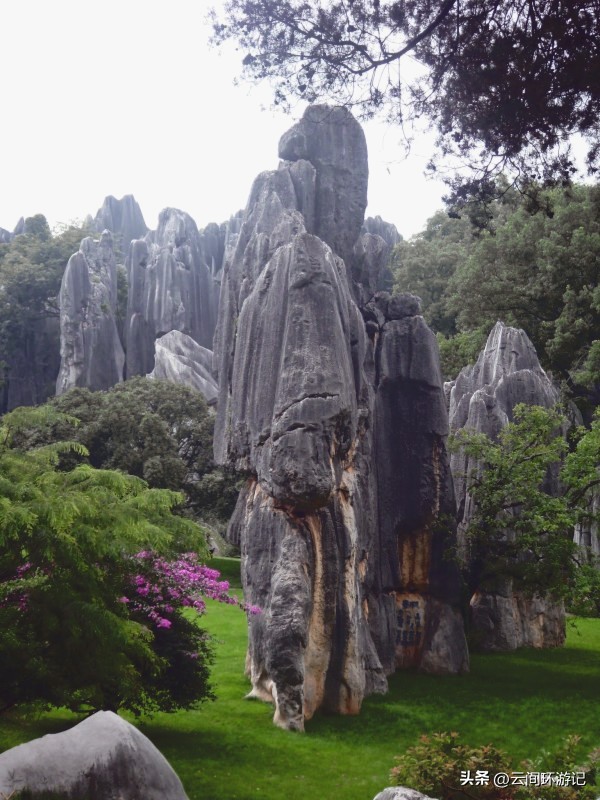 「一根风花雪月的鸡毛」（云南丨昆大丽香）